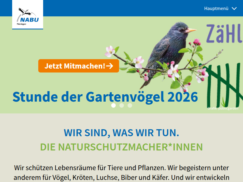 Petition "Mehr Waldwildnis" findet großen Zuspruch - NABU Thüringen