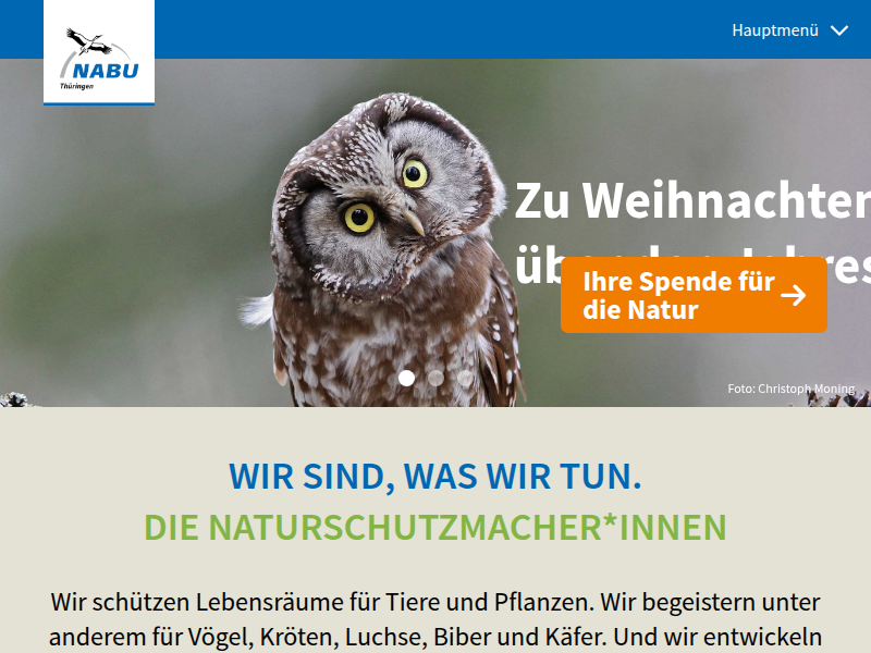 Freiwillige helfen dem Biber - NABU Thüringen