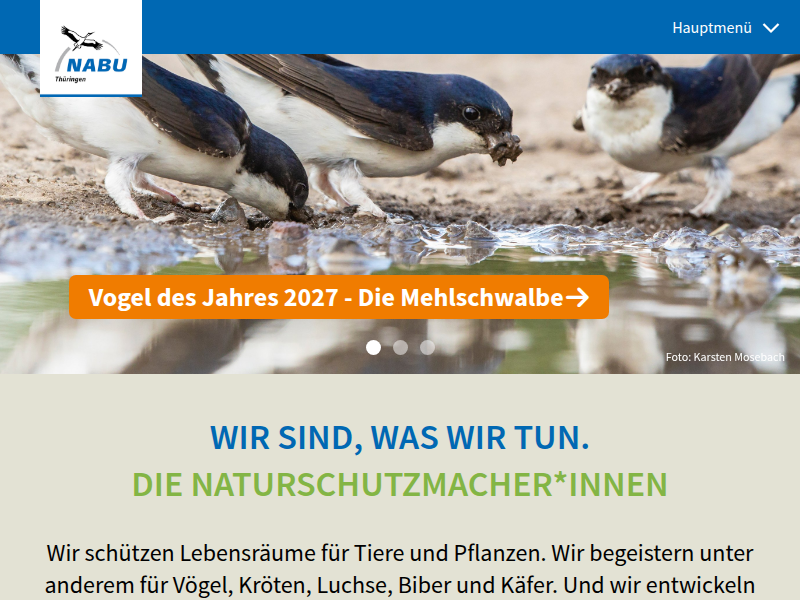 Der Zitronenfalter - NABU Thüringen