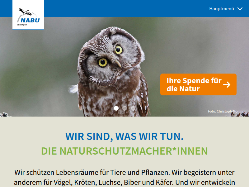 Steckbrief Haselmaus - NABU Thüringen