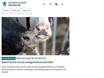Startseite | landwirtschaft.hessen.de