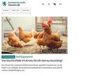Feldsperling | landwirtschaft.hessen.de