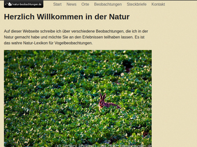 Illegale Greifvogelverfolgung & Vogelmord Anzeigen & Behörden melden - Natur Beobachtungen