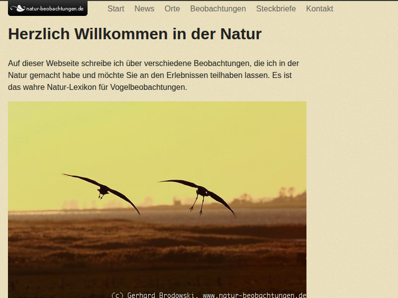 Illegale Greifvogelverfolgung & Vogelmord Anzeigen & Behörden melden - Natur Beobachtungen