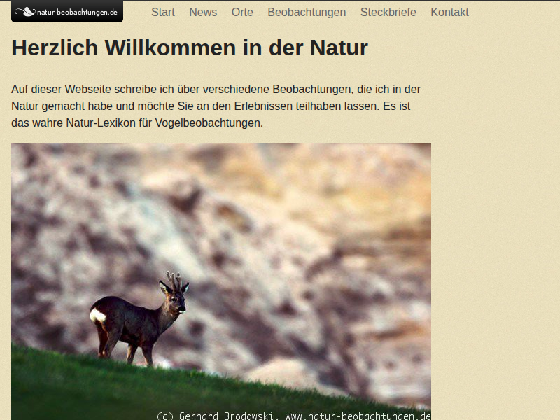 News 2015, Vögel, Tiere, Insekten, Pflanzen - Natur Beobachtungen