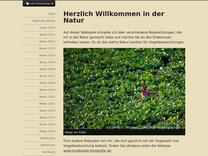 Wiesel Steckbrief - Hermelin Steckbrief - Größe, Alter, Gewicht, Feinde - Natur Beobachtungen