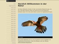 Insekten bestimmen, Steckbrief, Käfer Namen, Feinde, Größe, Bilder - Natur Beobachtungen