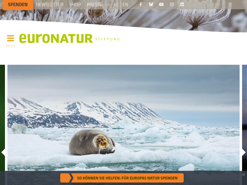 In Albanien blüht der illegale Tierhandel - EuroNatur