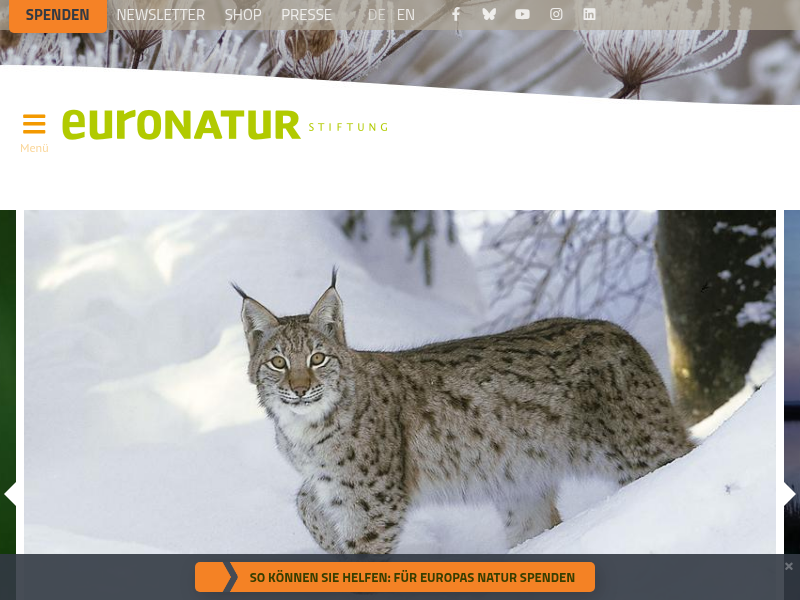 Kroatien tritt Natur und EU-Recht mit Füßen - EuroNatur