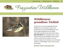 Gattung Biastes - Kraftbienen