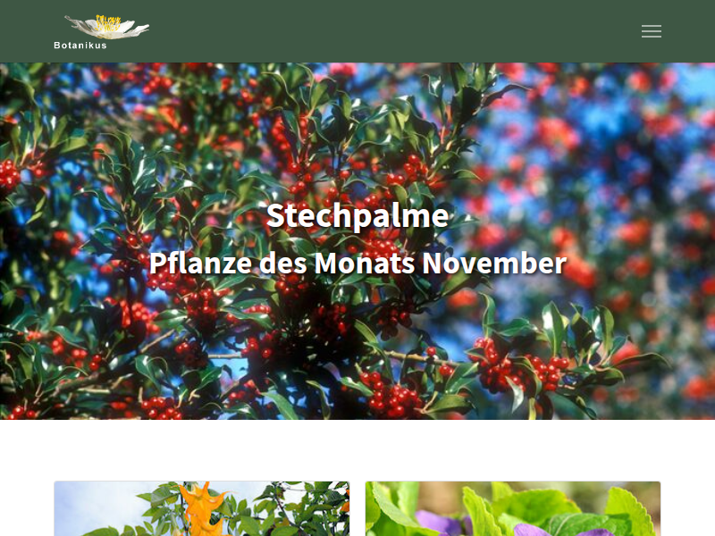 März-Veilchen - Botanikus