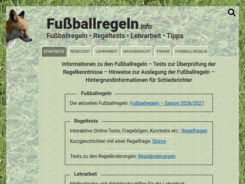 Strandball lenkt Ball ins Tor | fussballregeln.info