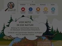 Kennst du Pflanzen, die auf Bäumen wachsen?