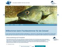 Fischbestimmer | Streifenbarbe vom Deutschen Meerenmuseum Stralsund