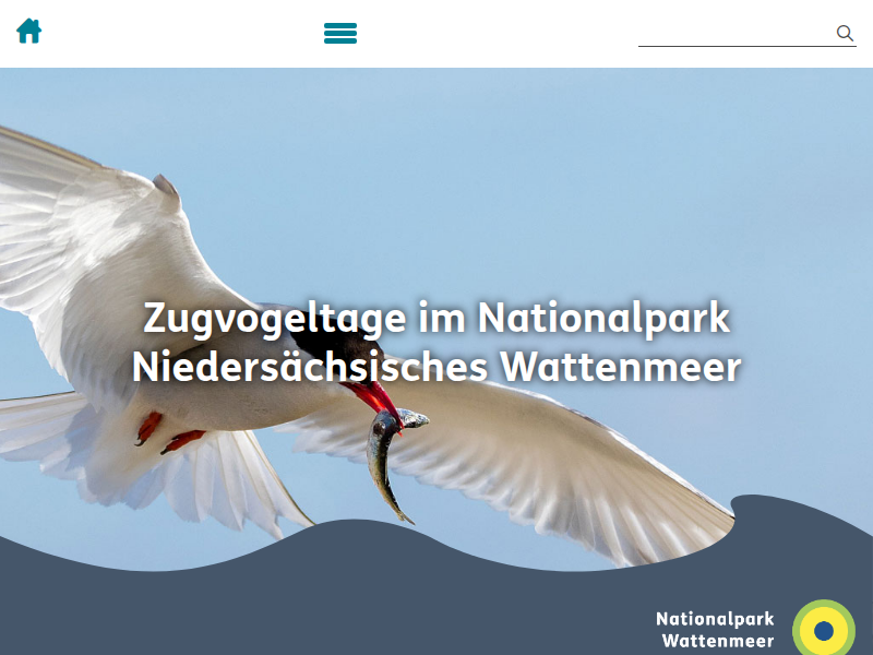 Die faszinierende Welt des Vogelzugs im Weltnaturerbe Wattenmeer erleben - Zugvogeltage