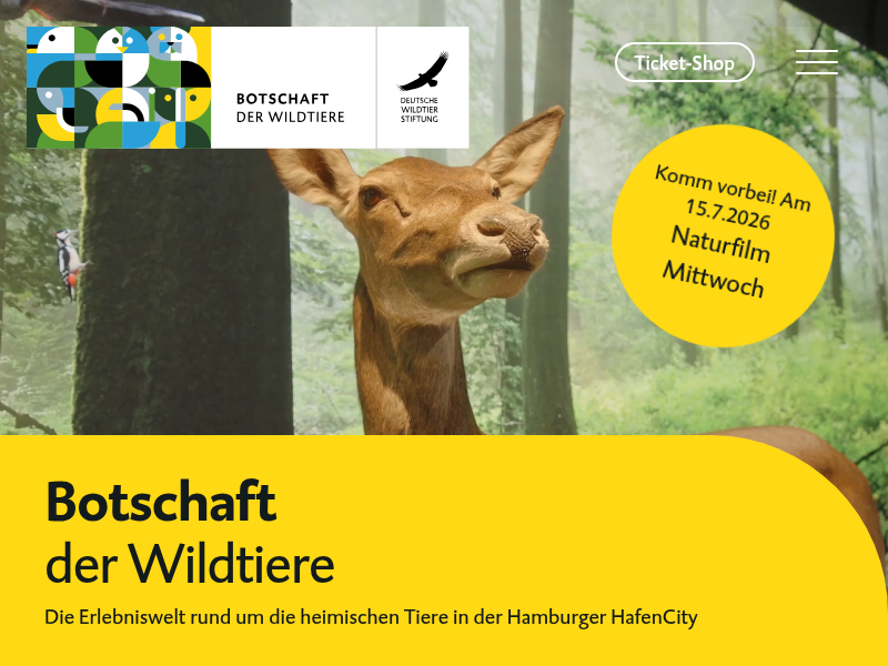Botschaft der Wildtiere | Flugstunde mit Spatz