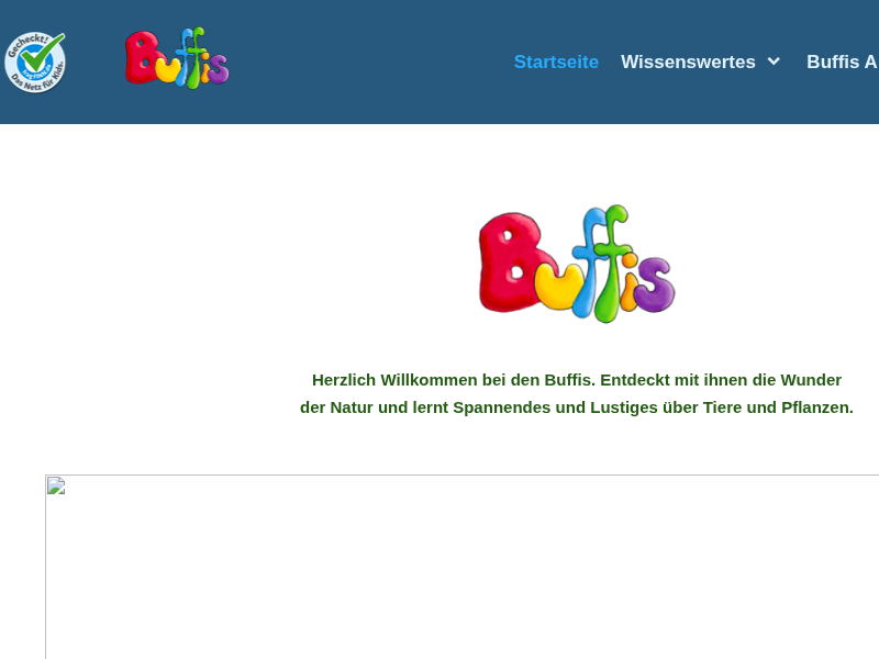 buffis.info
