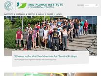 Forest Beetles & Friends