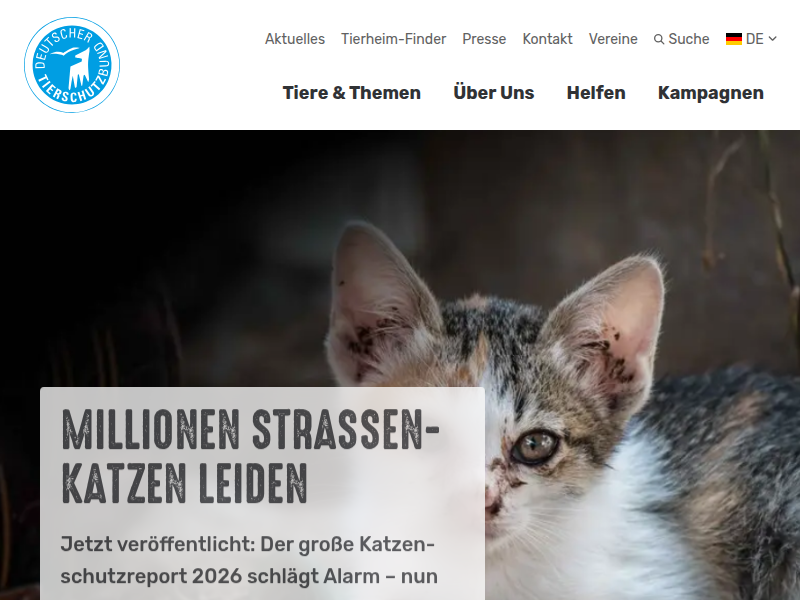 Gaming und Spenden