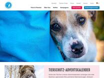 Wie halte ich Wellensittiche richtig? - Deutscher Tierschutzbund