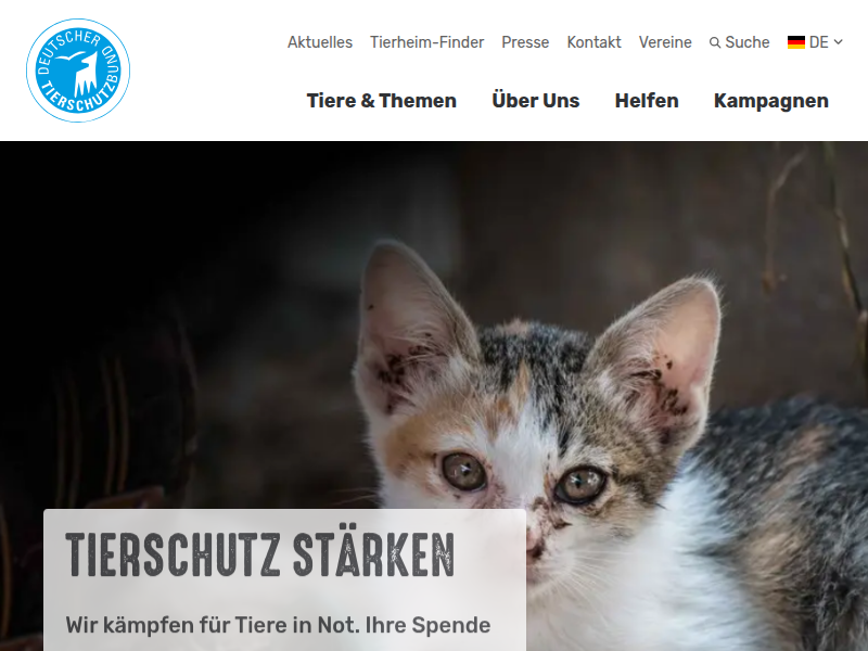 Hilfe für Straßenkatzen! - Tierschutzbund - Der TV Spot - Deutscher Tierschutzbund