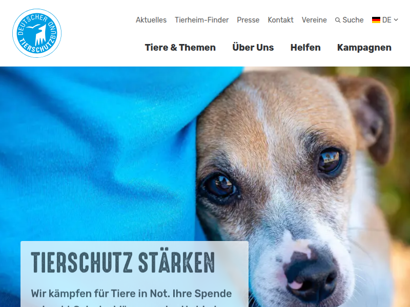 Spenden Sie online für den Tierschutz