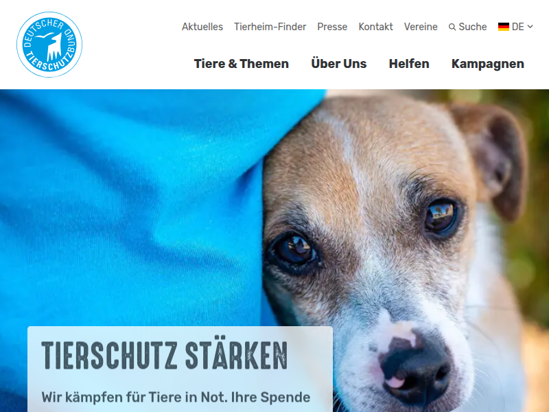 Wie halte ich Wellensittiche richtig? - Deutscher Tierschutzbund