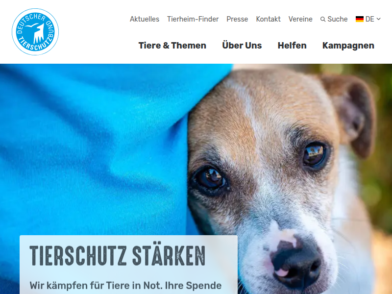 Hunde richtig ernähren - Deutscher Tierschutzbund