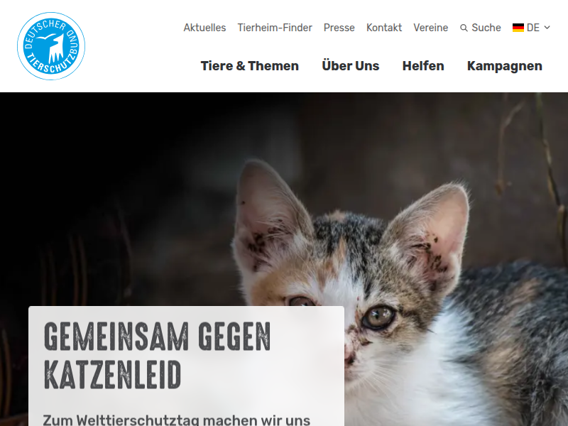 Türkei nimmt Hunde ins Visier