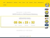 EWE Baskets Oldenburg - Business - Sponsoring - Erfolgsfaktor Sportsponsoring