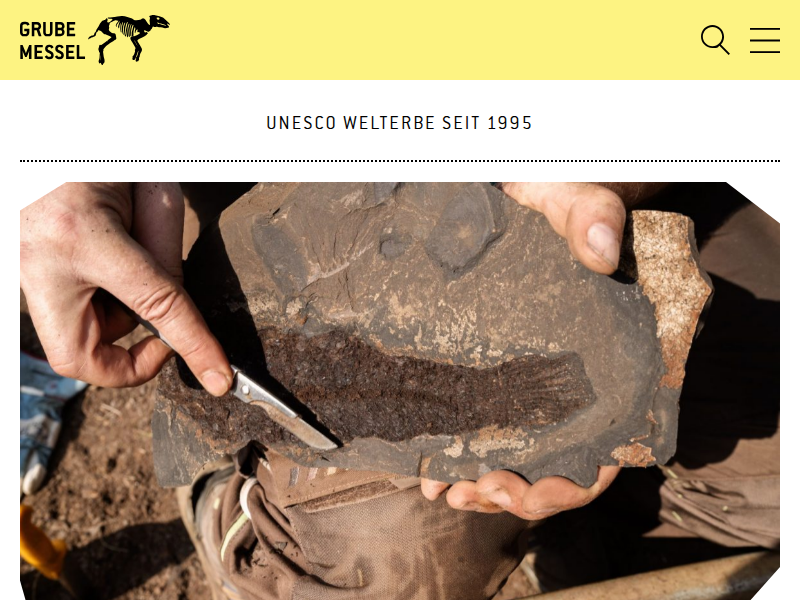 Grube Messel | UNESCO WELTERBE SEIT 1995 | Hausordnung