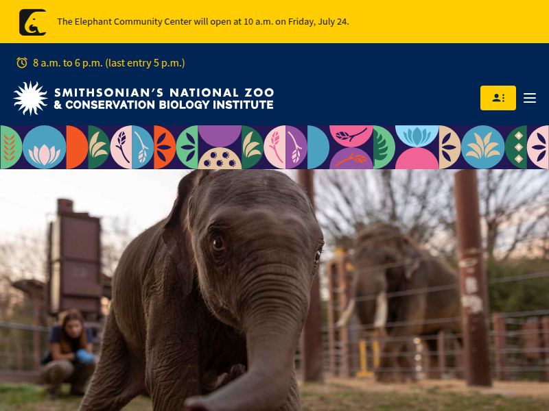 Carnivores | Smithsonian's National Zoo and Conservation Biology Institute