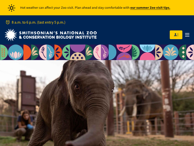 The Croc and Gator Blog Jun 03, 2015 | Smithsonian's National Zoo and Conservation