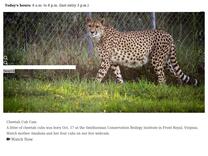 Smithsonian's National Zoo and Conservation Biology Institute