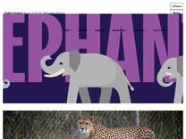 Susan A. Mars | Smithsonian's National Zoo and Conservation Biology Institute