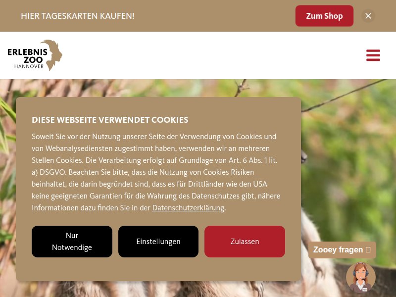 Bionik Unterricht: Natur als Vorbild für die Technik | Erlebnis-Zoo Hannover