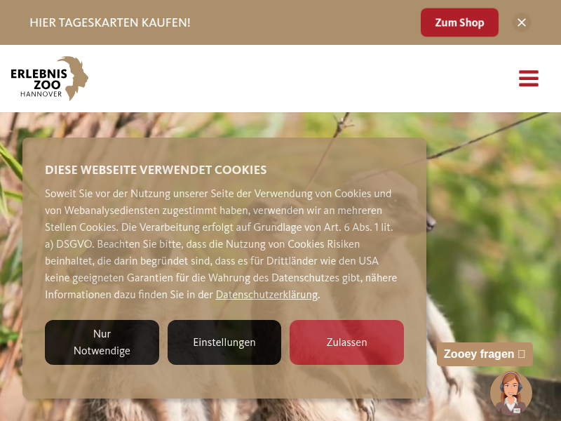 Neue Pflanzen im Urwaldhaus | Erlebnis-Zoo Hannover