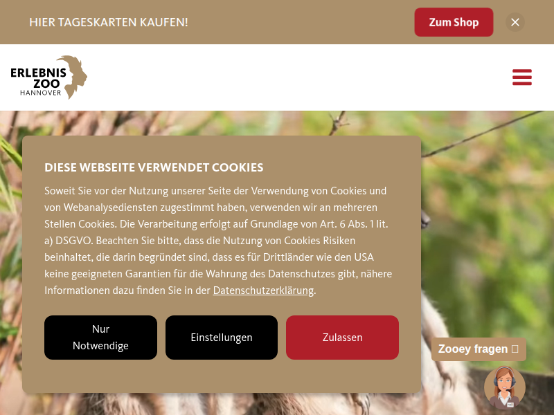 Neue Pflanzen im Urwaldhaus | Erlebnis-Zoo Hannover