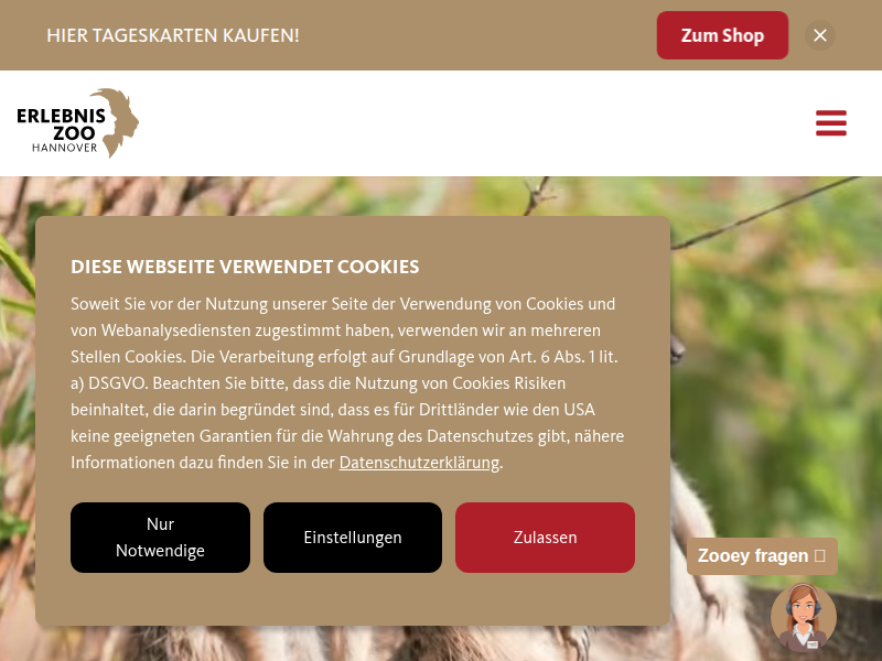 True Crime in den Bergen: 50 gewilderte Alpensalamander | Erlebnis-Zoo Hannover