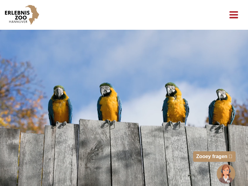 Zoo Run 2026 | Erlebnis-Zoo Hannover