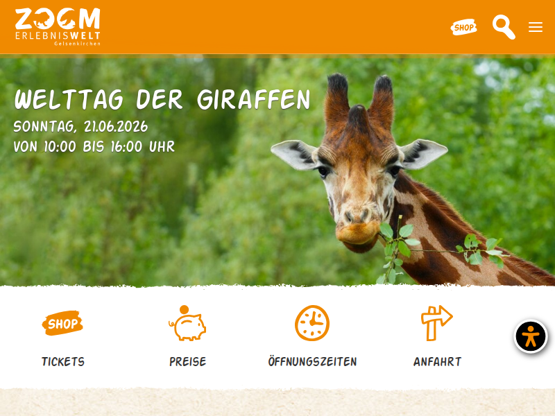Löwe Bantu ab jetzt zusammen mit Jungtieren - ZOOM Erlebniswelt Gelsenkirchen
