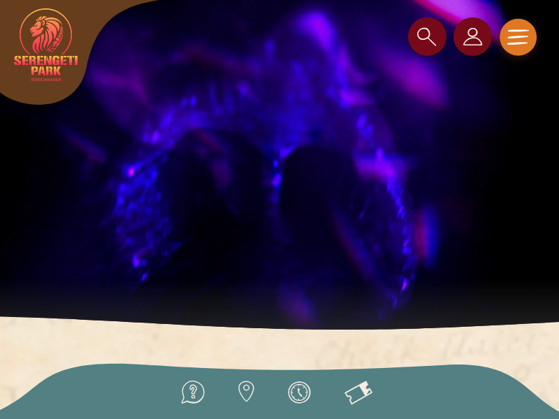 Serengeti-Souvenirs - Serengeti Park