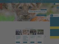 Kinos - Landeshauptstadt Schwerin