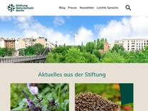 Pflanze des Monats: Blaugrünes Schillergras - Stiftung Naturschutz Berlin