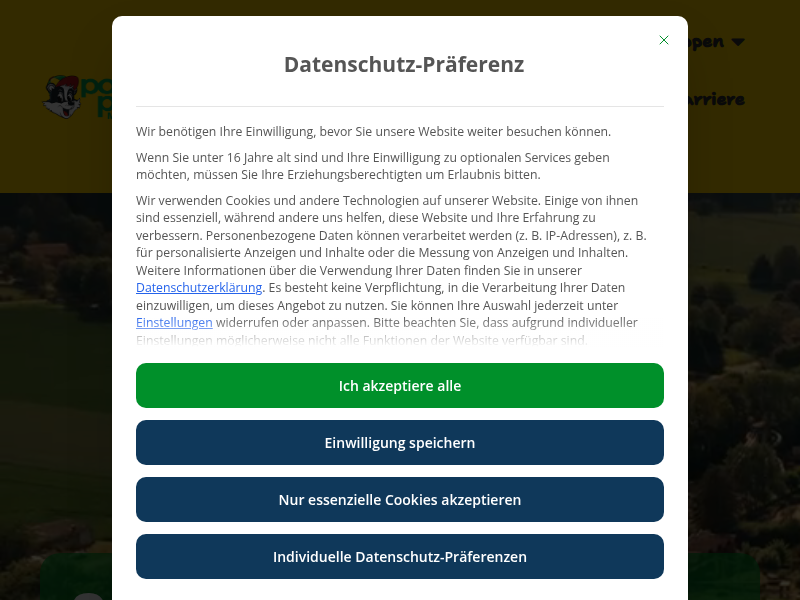 Springboote – Lustige Wasserfahrt für die ganze Familie