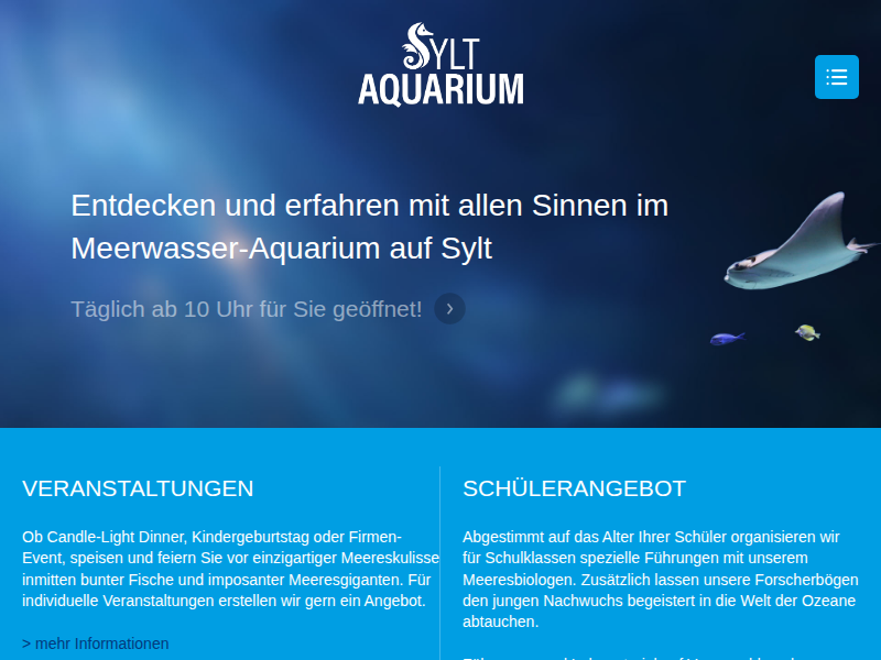 Mittelmeer-Muräne : Sylt Aquarium
