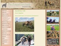 packeseltouren-brandenburg.de - Übernachtung