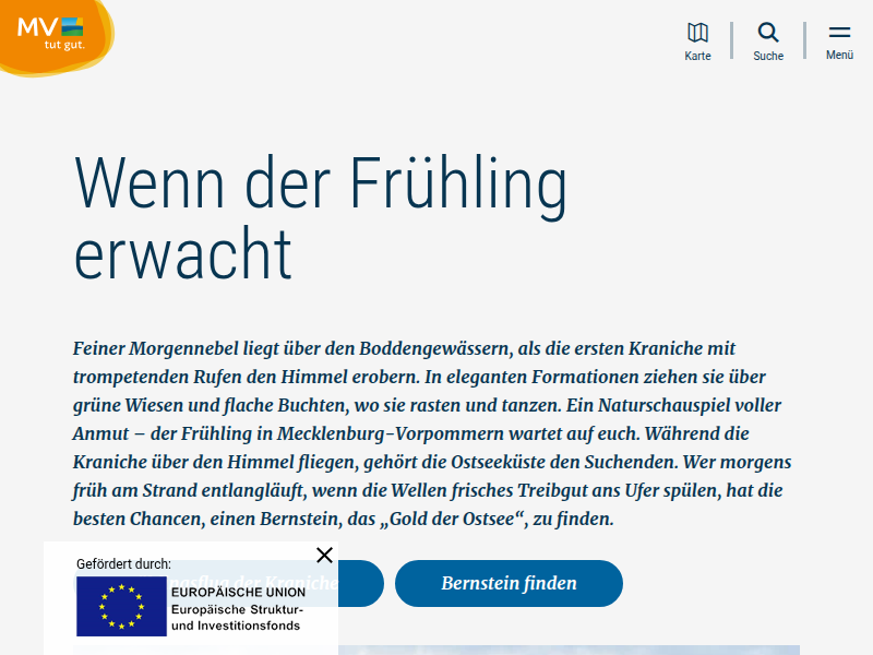 SCHLAGERNACHT mit VANESSA MAI, OLAF HENNING, ROSANNA ROCCI, Glückstattoo, Mia Weber