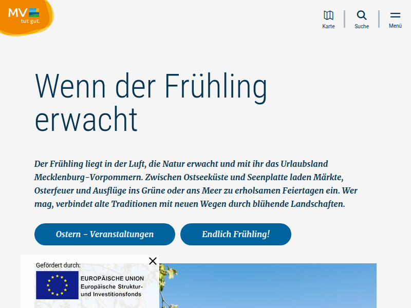 HEART guitars & more – Zupfinstrumentenmacher Florian Hellweg