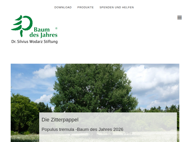 Baum des Jahres
